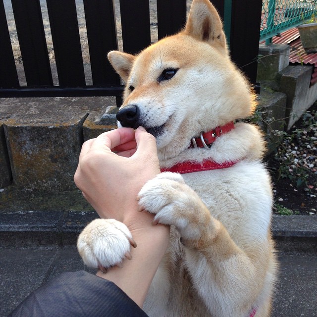 开云电竞-五大联赛中的关键先生都具备哪些共同点，五大联赛关注度