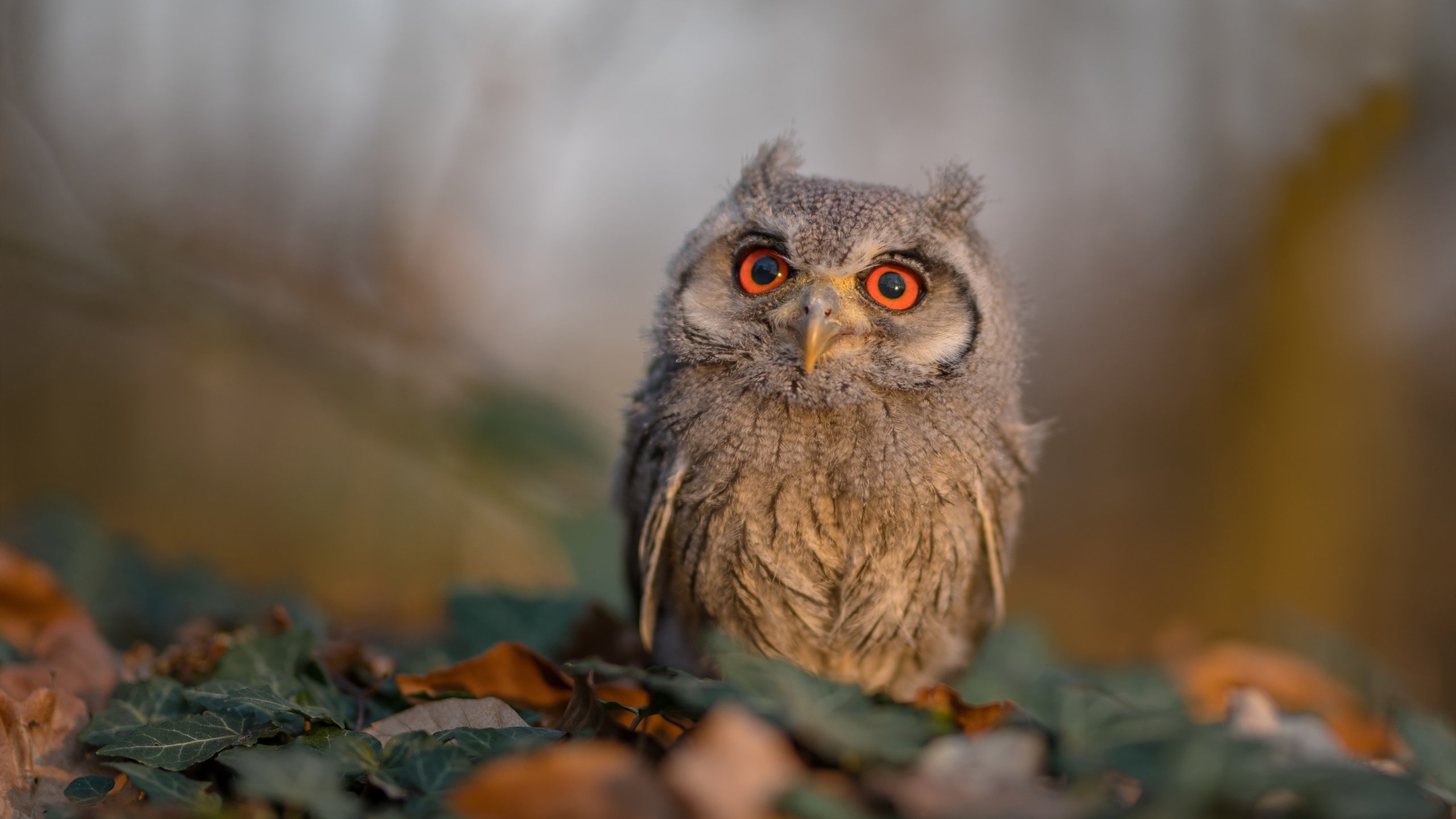 关键转身技术成团队突破点