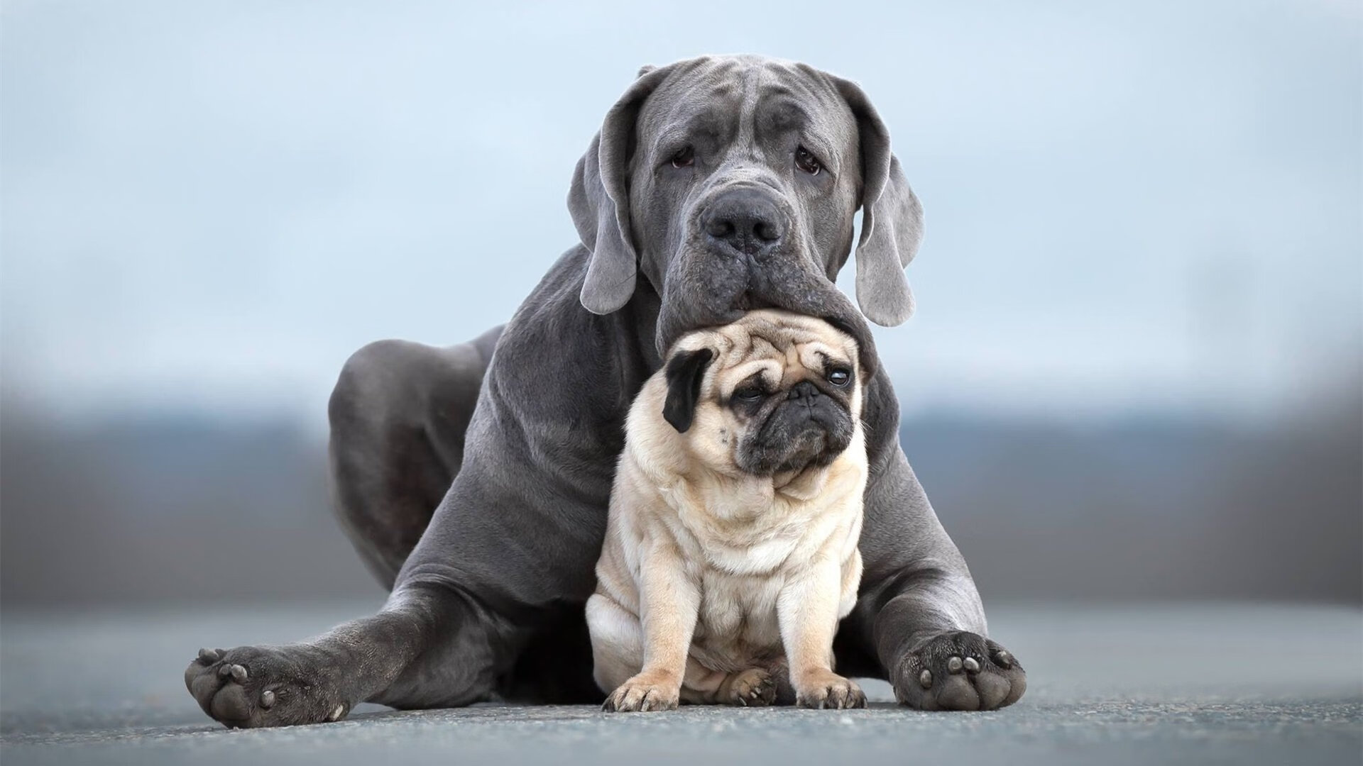 南特发挥主场优势赢得关键胜利,南特主帅