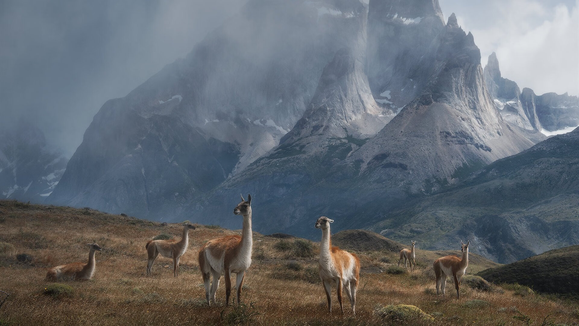 罗马注重节奏变化掌控整体局势，罗马阶段