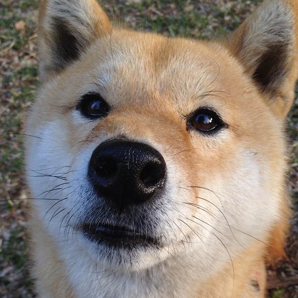 KAIYUN 中国大陆-世界杯巅峰夜：激情无限，经典不断！，世界杯超燃视频