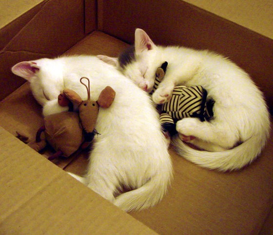 世界杯精彩盘点：瞬间、场面、瞬间激动人心，世界杯精彩集锦视频