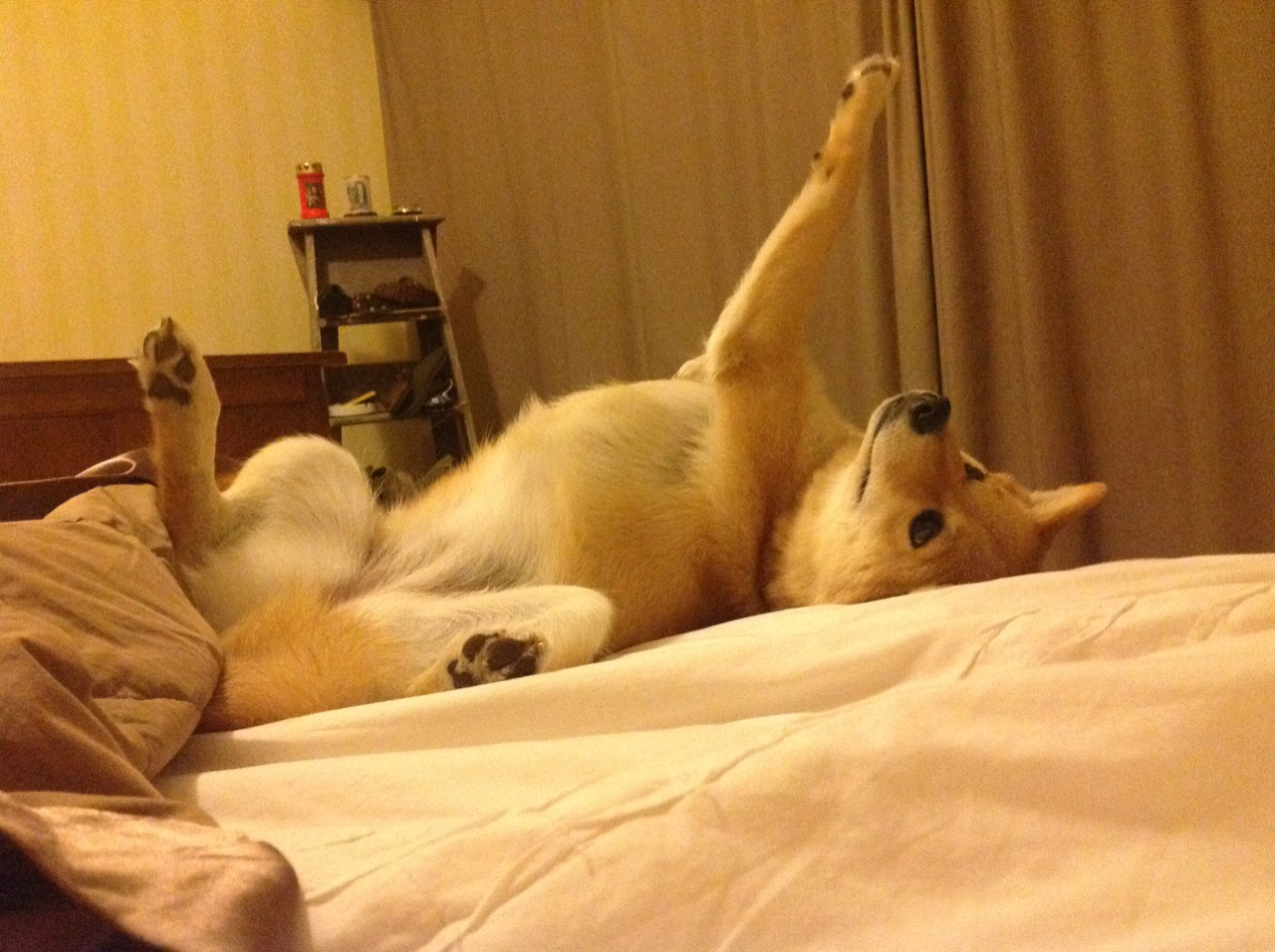 东契奇空位三分准星惊人独行侠客场大胜，东契奇三分绝杀视频