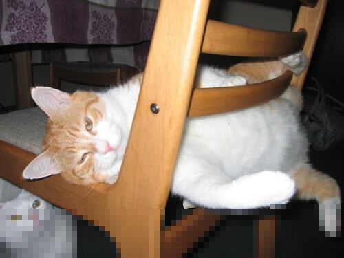 体育赛事成为城市宣传名片促进旅游文化同步发展，体育赛事促进城市形象提升