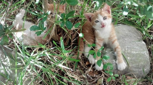 体育新闻中心训练营专题报道，体育新闻现场报道