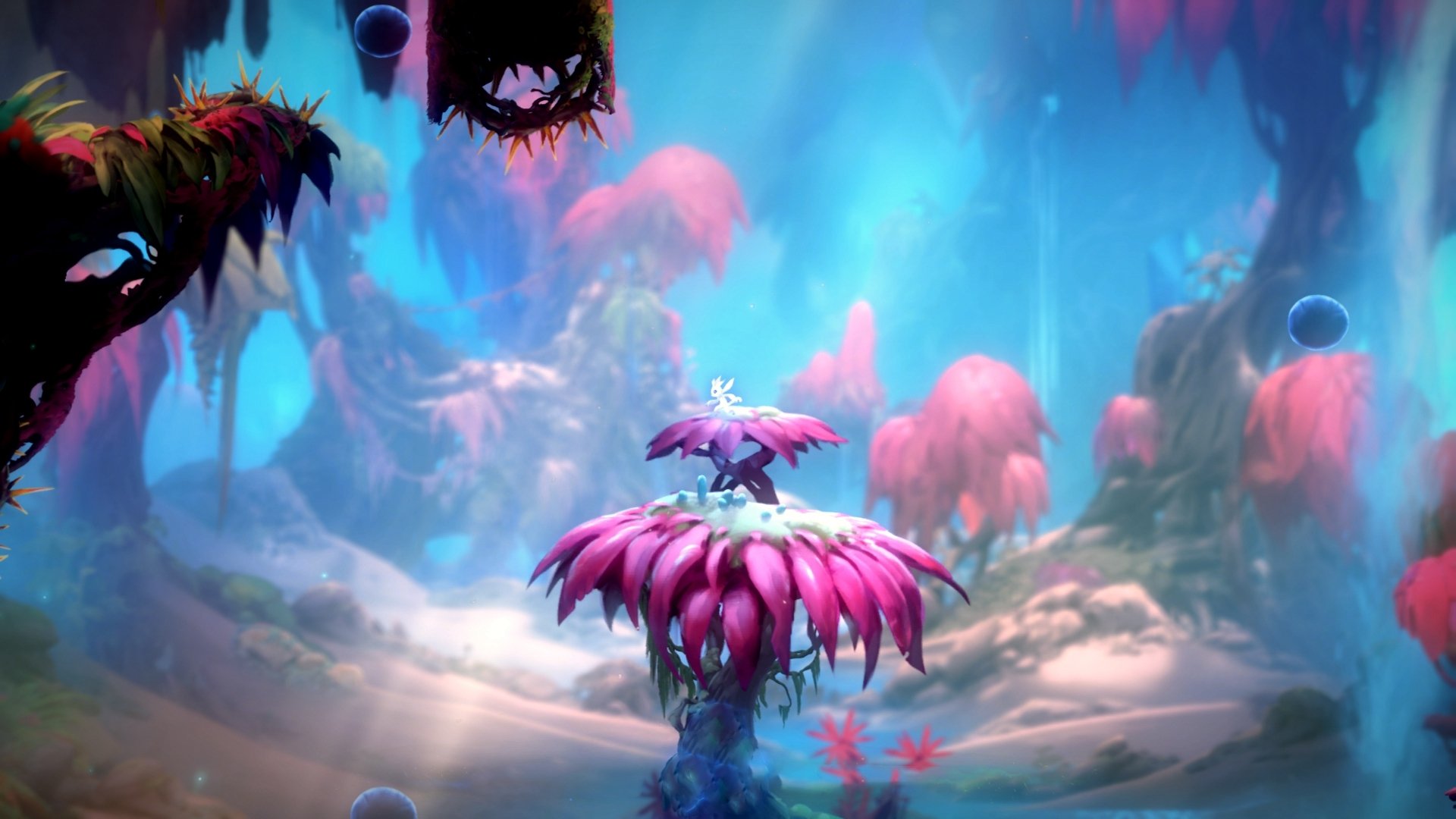 决赛聚焦：覃海洋全力一搏，覃海洋 哪里人