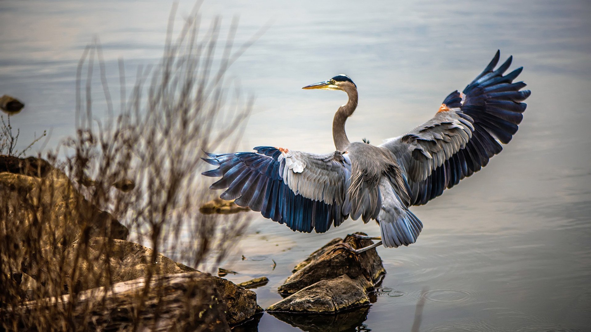 Kaiyun(中国)开云-女子英格兰队或将主导未来十年，英格兰 女球迷